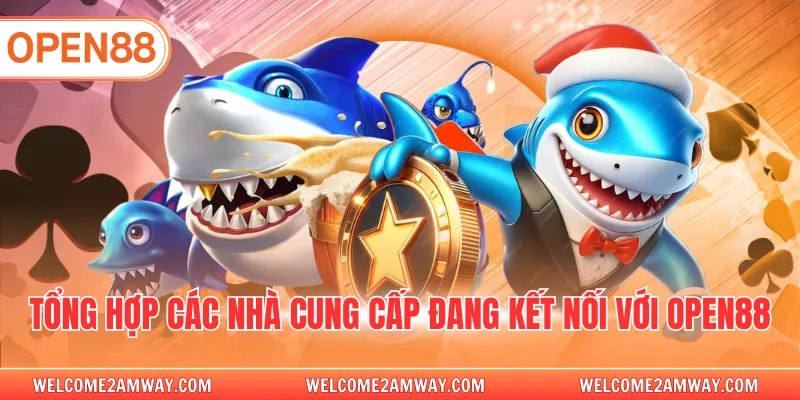 Tổng hợp các nhà cung cấp đang kết nối với OPEN88